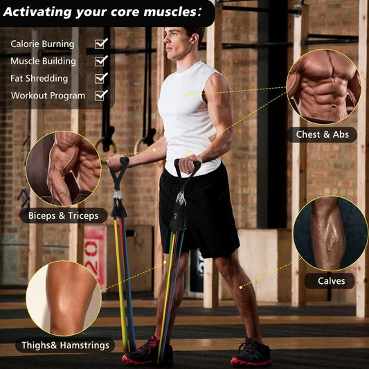 11 Piece Power Resistance Band for Strength Training, Yoga & Fitness